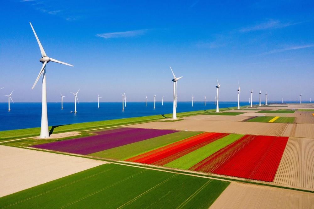 GUGLOVA PAMETNA INVESTICIJA: Najavili najveću kupovinu zelene energije u istoriji!