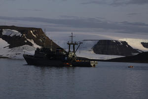 BIZARNA NESREĆA NA ARKTIKU: Morževi potopili brod ruske mornarice! Sve je počelo kad je ženka htela da zaštiti mladunce