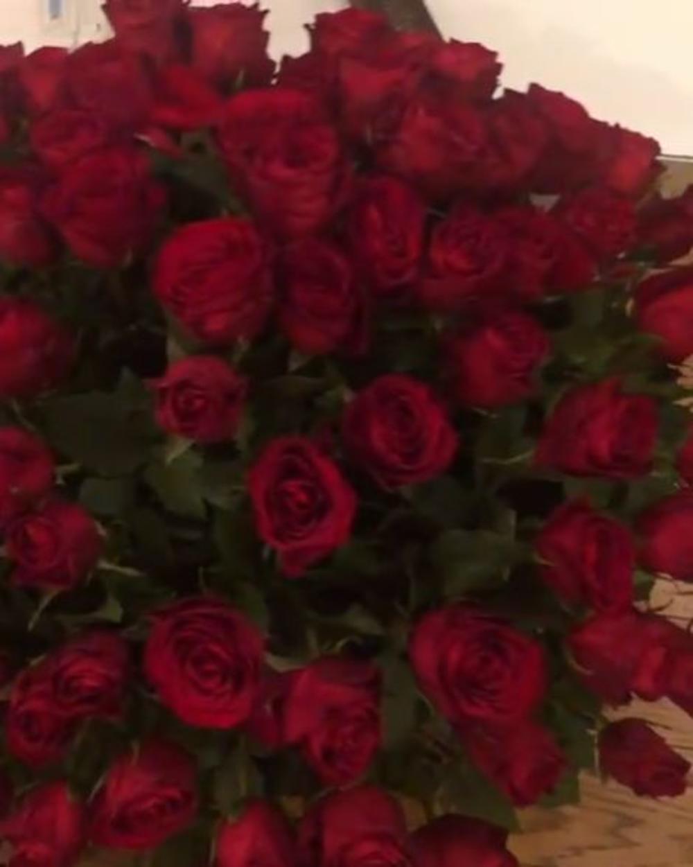 Kristina Kija kockar, 101 ruža, ruže