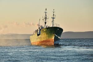 PREŠLI GRANICU: Rusija zaplenila 3 severnokorejska ribarska broda i 262 člana posade