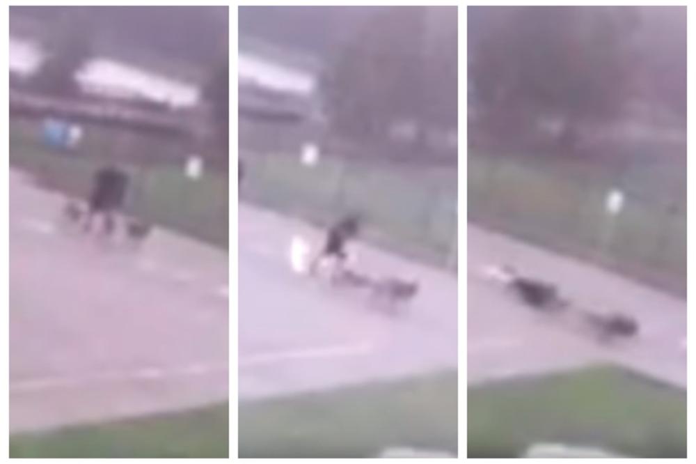 KAMERA UHVATILA STRAVIČAN MOMENAT! Čovek šetao pse kad ga je pogodio grom, pogledajte šta mu se desilo! (VIDEO)