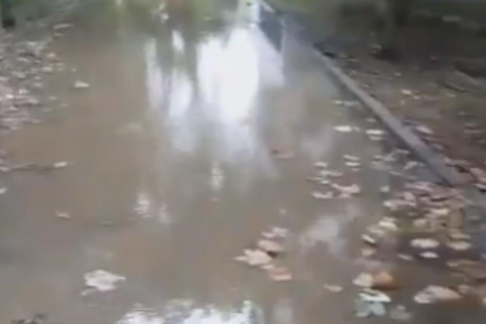VEŠTAČKO JEZERO NA NOVOM BEOGRADU: Pukla cev u Gandijevoj, stanari će uskoro plivati do kuće (VIDEO)