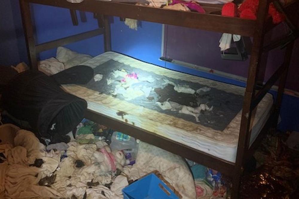 POLICIJA ZATEKLA STRAVIČAN PRIZOR U KUĆI NA FLORIDI: Porodica zanemarivala troje dece, živeli u prljavštini i izmetu sa 245 životinja! (FOTO)
