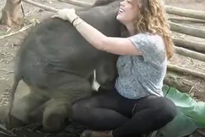 NAJVEĆA MAZA MEĐU SLONOVIMA! Ovo slonče je nešto najslađe što ćete videti! (VIDEO)