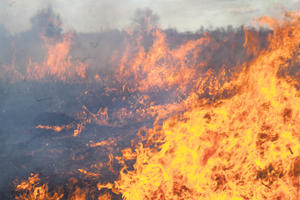 STRADALA STOKA, IZGORELO NA STOTINE BALA SENA: Veliki požar u Valjevu