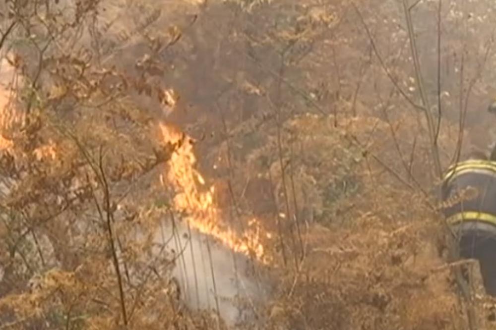 BUKTE POŽARI U SRBIJI: Vatrenu stihiju na Staroj planini gasi 100 vatrogasaca, u Trgovištu vanredna situacija! Požar i kod Prokuplja (FOTO, VIDEO)