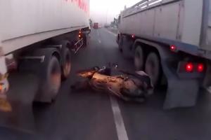 JEZIVA SCENA NA AUTO-PUTU! Motociklista podleteo pod kamion u pokretu, Bog ga je sačuvao! (VIDEO)