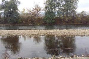 IBAR NESTAJE?! VODE U KORITU SVE MANJE: Ovako nizak vodostaj ne pamte ni najstariji građani, REKA DO KOLENA (FOTO)