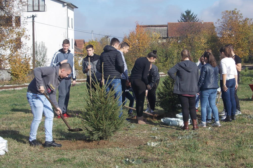 KANCELARIJA ZA MLADE U AKCIJI ZDRAVO DRVO: Mladi zasadili 60 sadnica u Loznici (FOTO)