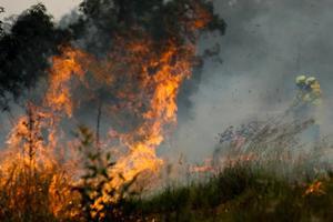 POŽARI U AUSTRALIJI NASTAVLJAJU DA BESNE: Vremenski uslovi će biti još gori! Više od 1.000 vatrogasaca se bori sa vatrenom stihijom! Telo 4. žrtve pronađeno u spaljenoj šumi! (FOTO, VIDEO)