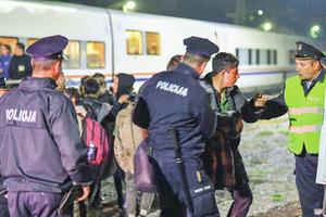 SRPSKI ŽIVALJ NA METI PLJAČKAŠA: Migranti terorišu Srbe u BiH