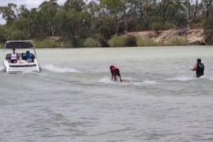 NEĆETE VEROVATI SVOJIM OČIMA! Pas skija na vodi bolje od svog gazde koji upada u reku! (VIDEO)