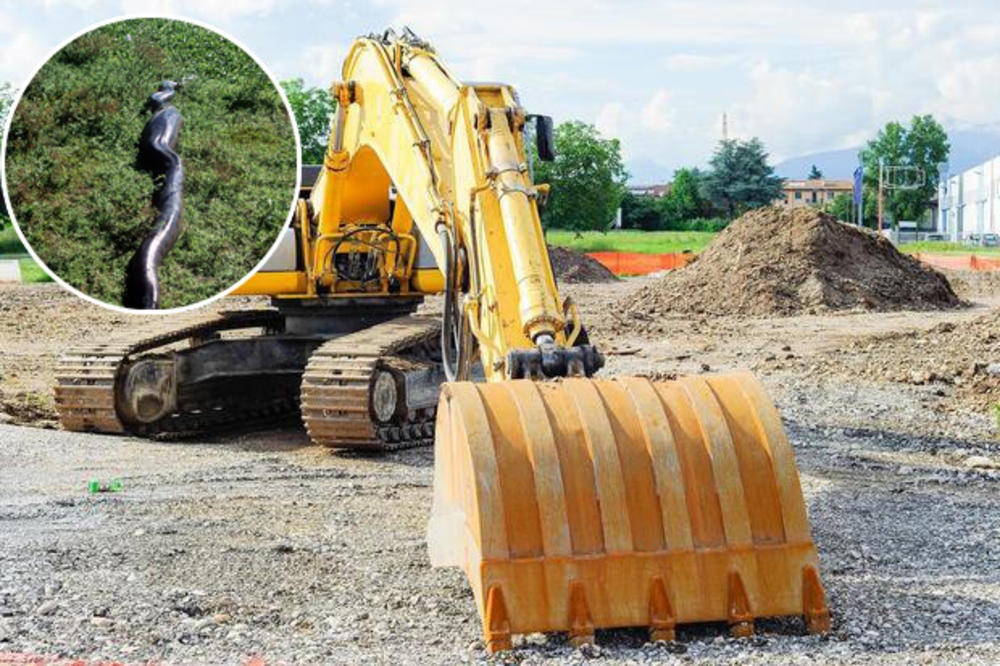 KUD SI KRENUO SA BAGEROM NA PITONA: Nesvakidašnji obračun kod reke u Indoneziji! (VIDEO)