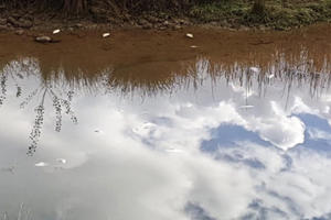 VELIKI POMOR RIBE U VRAPČIĆIMA: Za sve su krive otpadne vode sa obližnje deponije, građani ogorčeni! (FOTO)