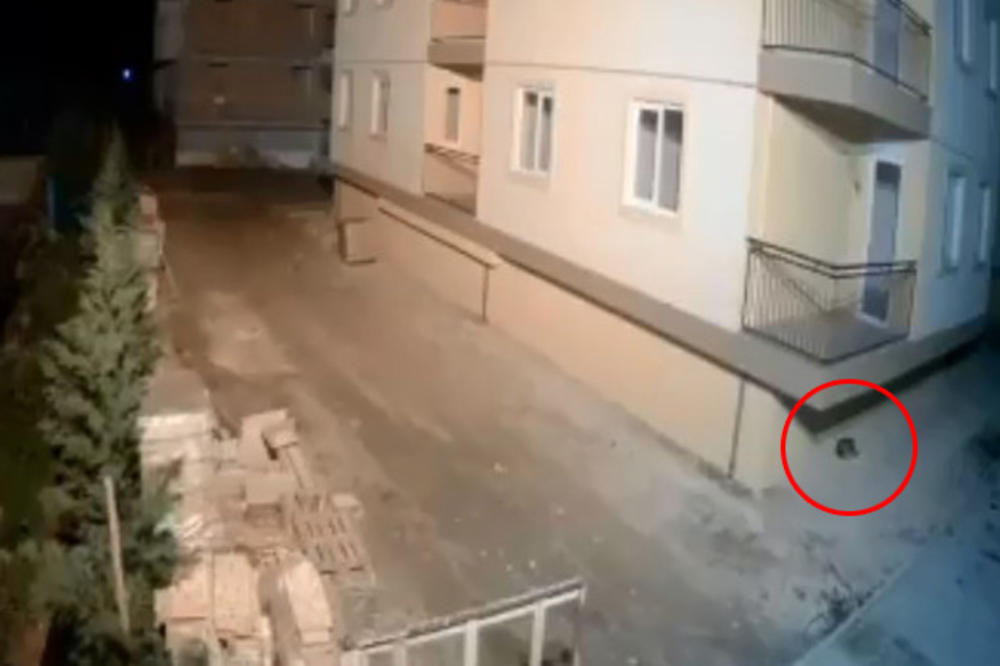 POGLEDAJTE KAKO ŽIVOTINJE PREDOSETE ZEMLJOTRES! Samo sekund pre nego se zgrada zatresla, pas pobegao što dalje! VIDEO