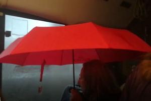 HIT U GRADSKOM PREVOZU U BEOGRADU: Svi su gledali u ovu ženu na liniji 601! Otvorila kišobran nasred autobusa (KURIR TV)