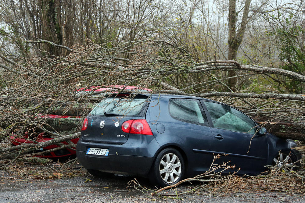 OLUJA PROTUTNJALA KROZ FRANCUSKU: Vetrovi duvali 140 km na sat, vozač poginuo kad je naleteo na srušeno drvo
