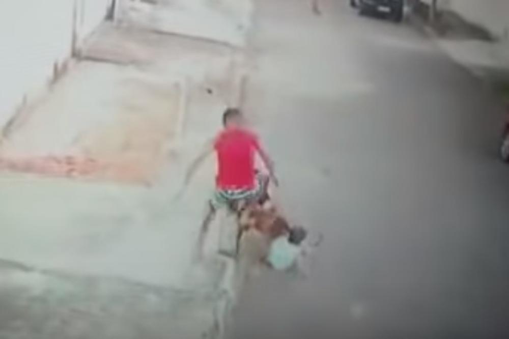 GOLIM RUKAMA KRENUO NA RAZJARENOG PIT BULA: Pas već držao dečaka (4) za vrat, Brazilac stigao u poslednji čas (VIDEO)