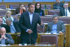 MEDOJEVIĆ: U Crnoj Gori postoje samo dve politike - patriotska i poslušnička