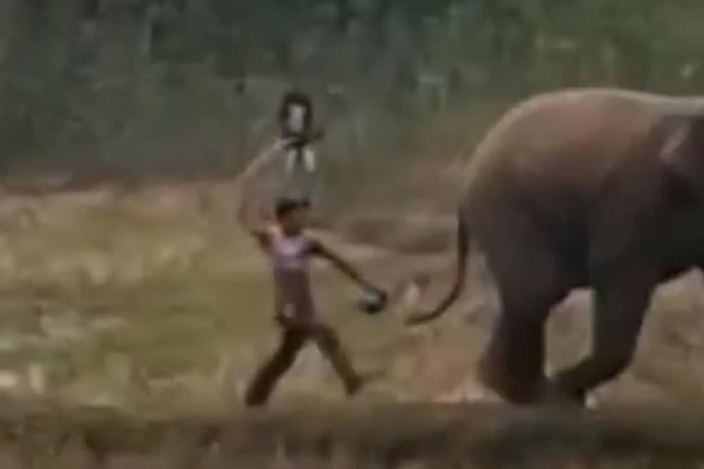 KOBNA GREŠKA INDIJSKOG SELJAKA: Krenuo je motkom na slona, a onda se razjarena životinja okrenula (VIDEO)