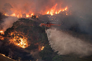 STRAVIČNE POSLEDICE POŽARA U AUSTRALIJI: U vatrenoj stihiji nastradalo 24 ljudi i 480 miliona životinja! (VIDEO)