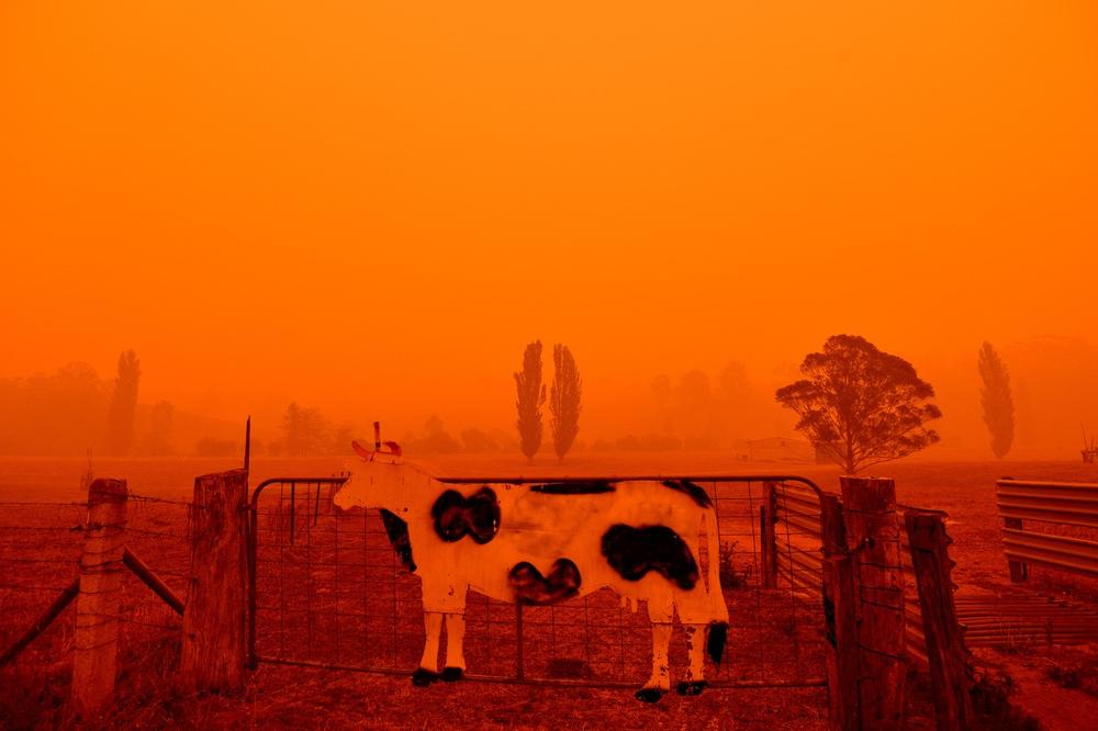 APOKALIPSA U AUSTRALIJI: Od stravičnih požara nebo dobilo krvavu boju, cela zemlja gori! (FOTO, VIDEO)