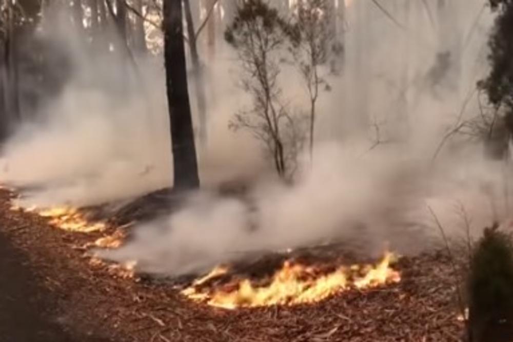 AUSTRALIJI SAMO JOŠ NEBO MOŽE POMOĆI: Posle dužeg vremena pala slaba kiša, nedovoljna da ugasi požare! (VIDEO)