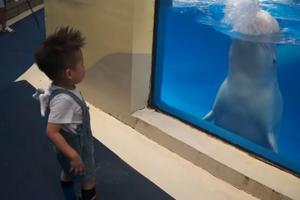 OČI U OČI SA MORSKOM ZVERI! Ovaj dečak dobio je NEOČEKIVAN poklon iz dubine okeana (VIDEO)