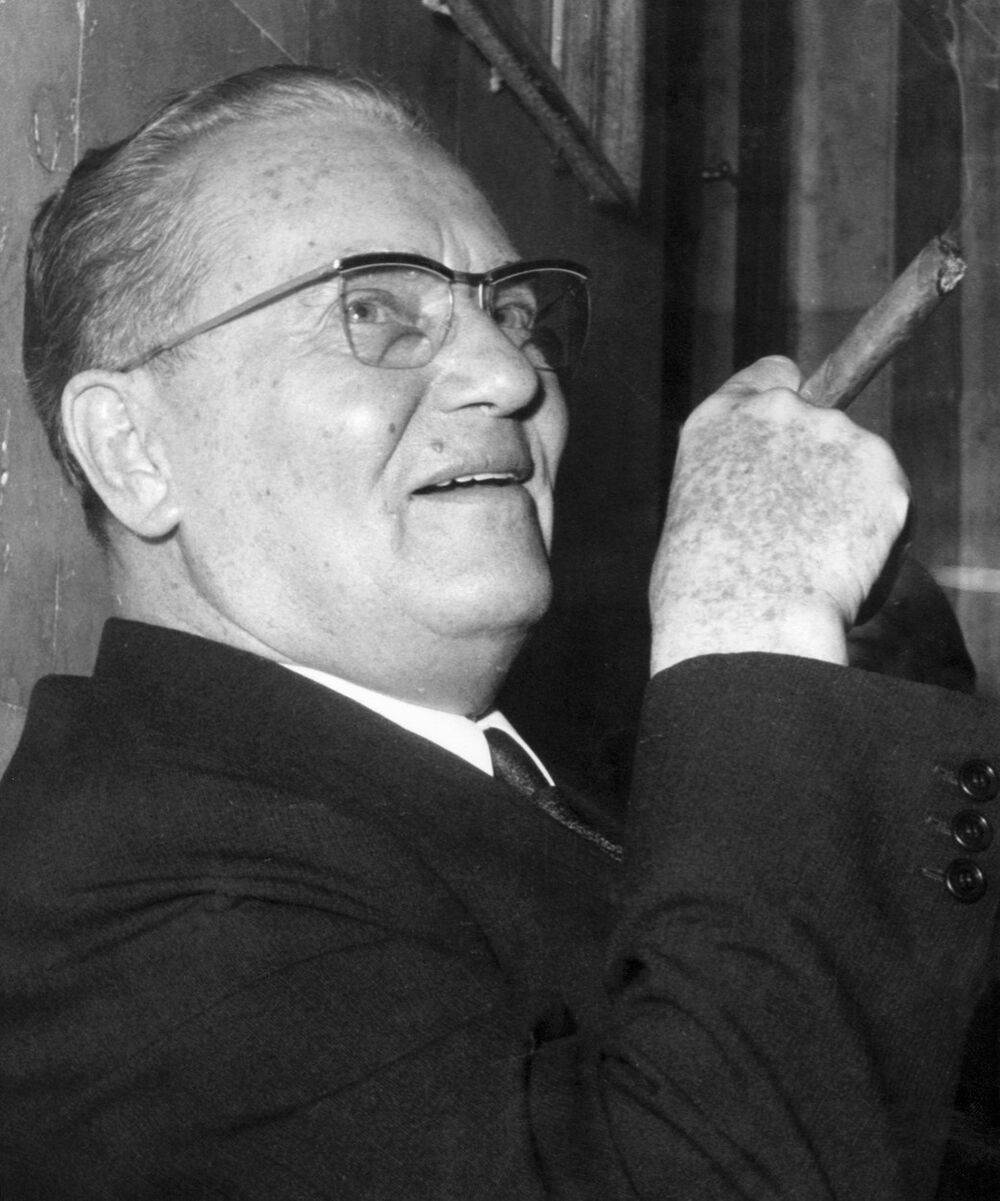 Josip Broz Tito, Tito