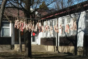 PRIZOR ŠOKIRAO BORANE: Umesto veša Kinezi na žici suše meso! (FOTO)