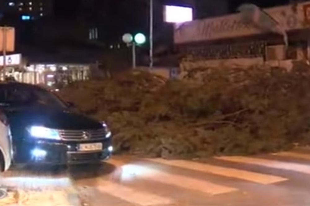 OLUJA I U SKOPLJU: Vetar rušio drveće, građanima se savetuje da ne izlaze bez preke potrebe (VIDEO)