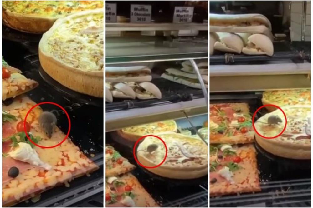 PARIŽANI OVDE PICU NEĆE KUPOVATI: Turisti u jednoj pekari u vitrini sa pecivima zatekli nezvanog gosta! (VIDEO)