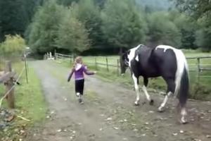 NAJSTRAŠNIJA DEČIJA IGRA! Ove devojčice su rešile da preplaše konje, a onda se dogodilo čudo (VIDEO)
