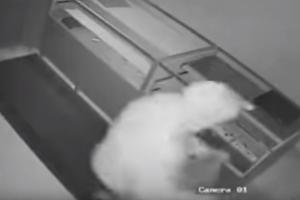 PLJAČKA ZLATARE U LIVNU: Lopov ukrao skoro 8.700 evra, snimila ga kamera! (VIDEO)