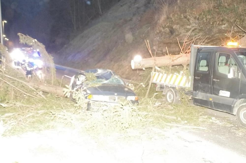 JAK VETAR NAPRAVIO HAOS U SLOVENIJI: Rušio drveće i prekinuo snabdevanje strujom! Poginuo jedan vozač!