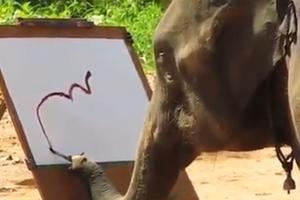 ČUDO NEVIĐENO! Dali su slonu četkicu u surlu, a onda je on počeo da stvara nešto čudesno (VIDEO)