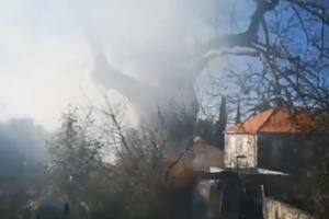 GORELO DRVO STARO 500 GODINA: Vatrogasci spasli platan koji je simbol Dubrovnika (VIDEO)