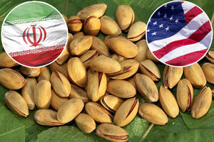 IRAN I SAD U BORBI ZA ZELENO ZLATO: Teheran je bio lider u proizvodnji ove biljke, ali su Ameri preoteli unosan biznis