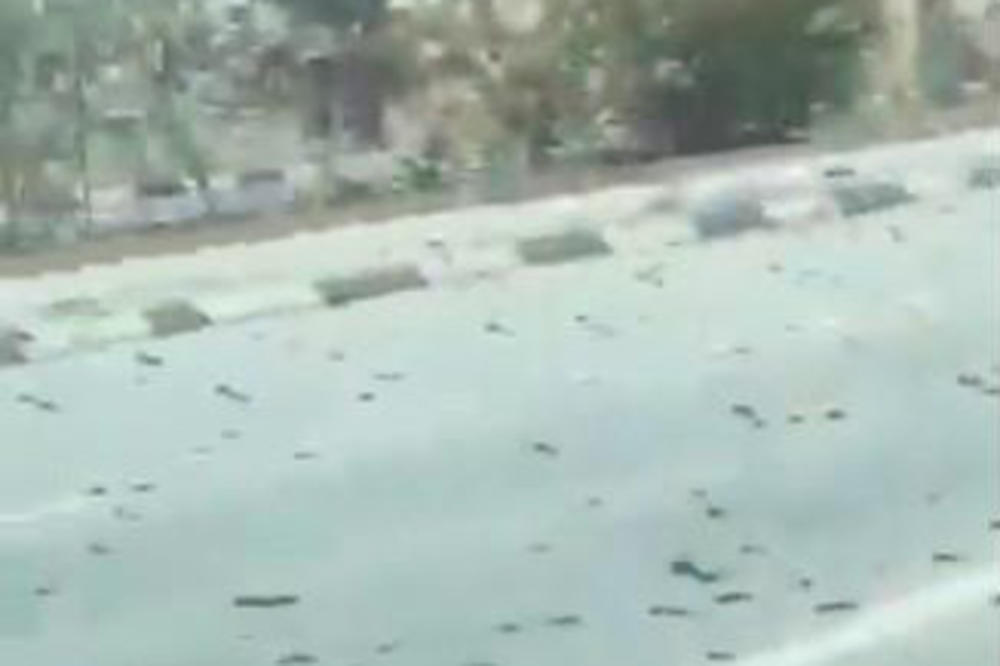 BIBLIJSKOJ POŠASTI NIKAD KRAJA: Užasavajući snimak iz Bahreina zapanjio svet (VIDEO)