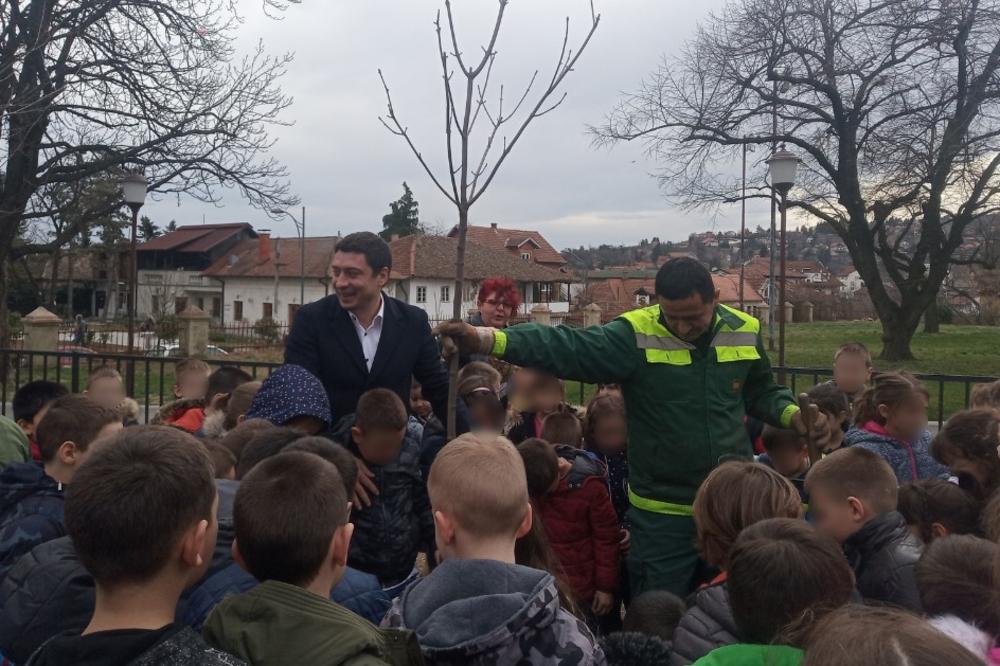 ZASAĐENO DRVO GENERACIJE: Prvačići sadili u školama na Voždovcu i u Grockoj, a sad svoje drvo treba da čuvaju i paze