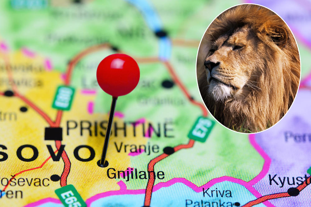 UHAPŠEN KAFEDŽIJA IZ GNJILANA: Prošvercovao lava iz Albanije pa ga pokazivao u svojoj kafani?!