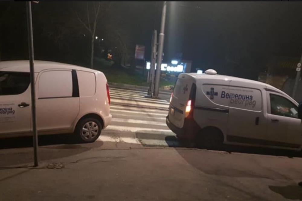 UŽAS! NEKO TRUJE PSE U BEOGRADU Vesić: Ekipe Veterine na terenu pomažu policiji da se utvrdi uzrok trovanja