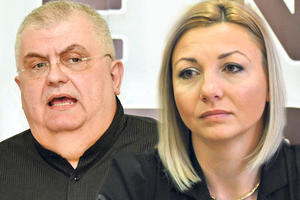 UJEDINJENA DEMOKRATSKA SRBIJA: Srbija 21, Nenad Čanak i Tatjana Macura zajedno na izbornoj listi