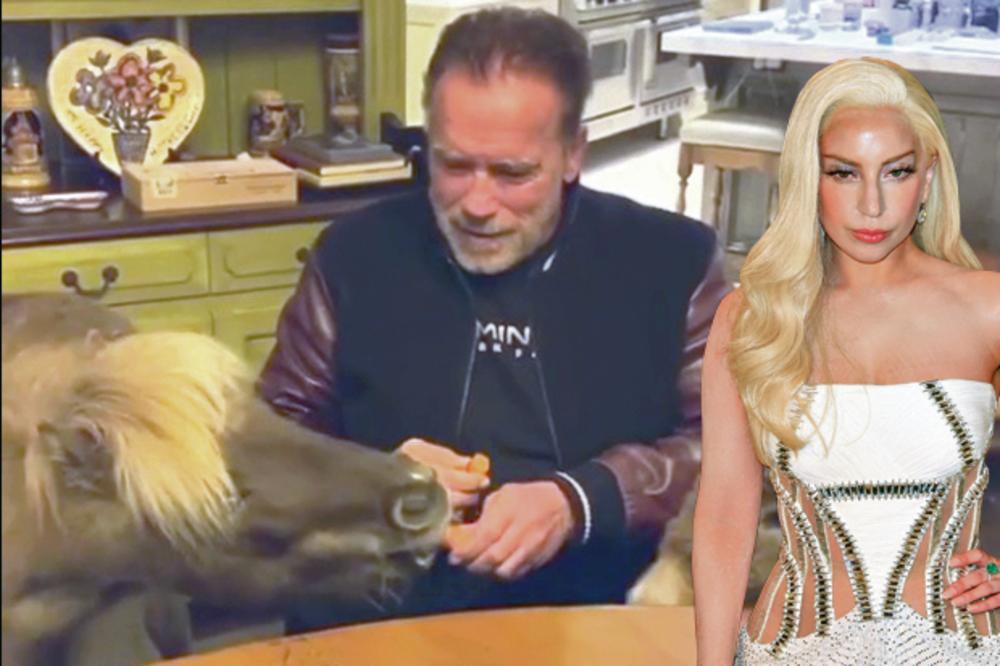 ZVEZDE SE POVUKLE U DOMOVE: Švarceneger u izolaciji s magarcem, Ledi Gaga ne ide ni kod roditelja