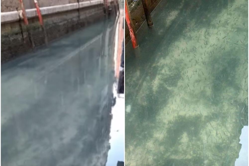 KANALI U VENECIJI NIKAD NISU BILI ČISTIJI! Čim nema turista voda potpuno prozirna, kao na Maldivima (VIDEO)