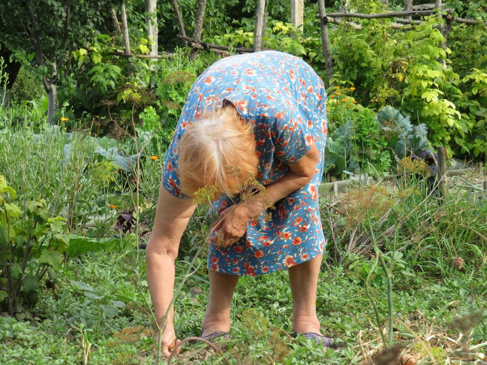 penzionerka, starica, stara žena, seljanka, selo, bašta, rad u bašti, njiva, penzioneri, starci, trava