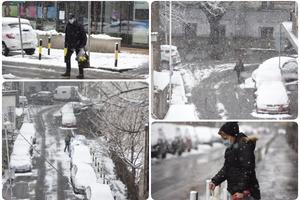 BEOGRAD OSVANUO ZAVEJAN: Sneg padao celu noć, prestonica se probudila potpuno BELA! (KURIR TV)