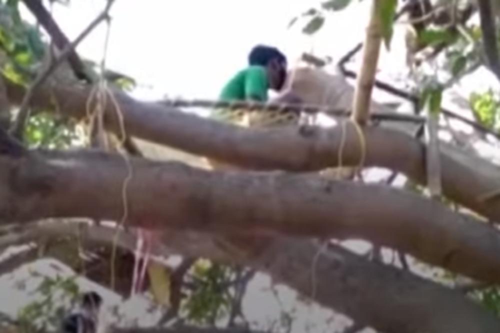 KAKO SE IZOLOVATI U ZEMLJI OD 1,3 MILIJARDE STANOVNIKA: Indijci na drveću napravili karantin! (VIDEO)