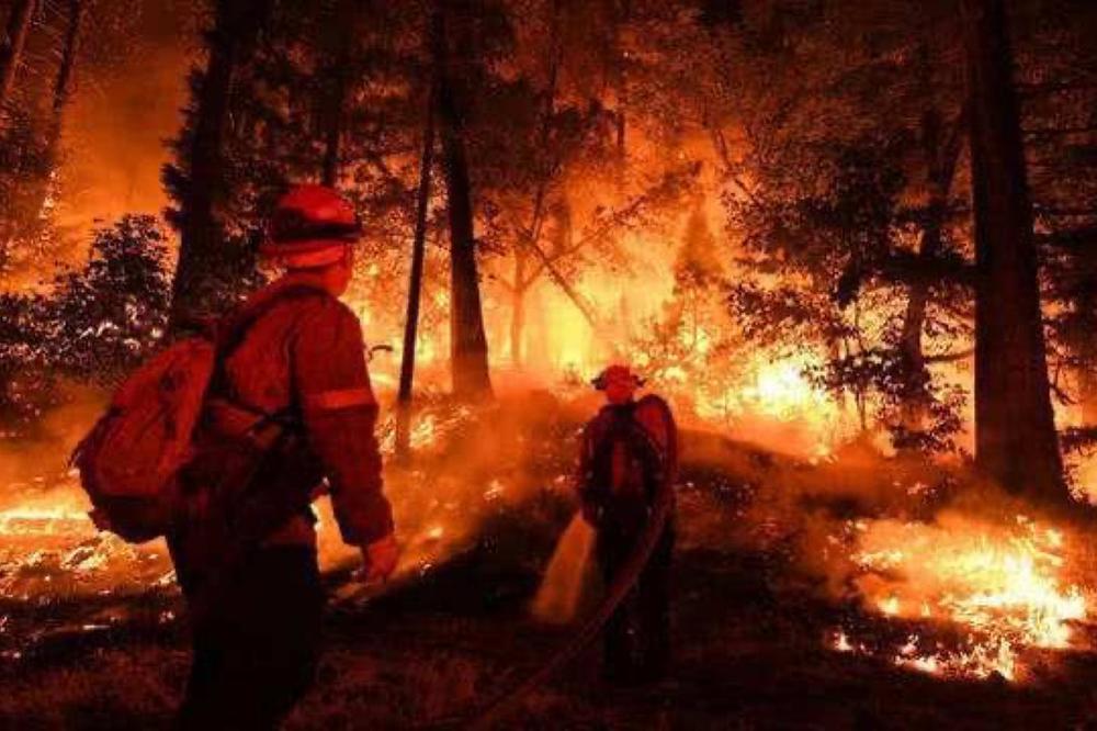 STRAVIČAN ŠUMSKI POŽAR U KINI: Poginulo najmanje 19 ljudi, vatra krenula da se širi sa farme