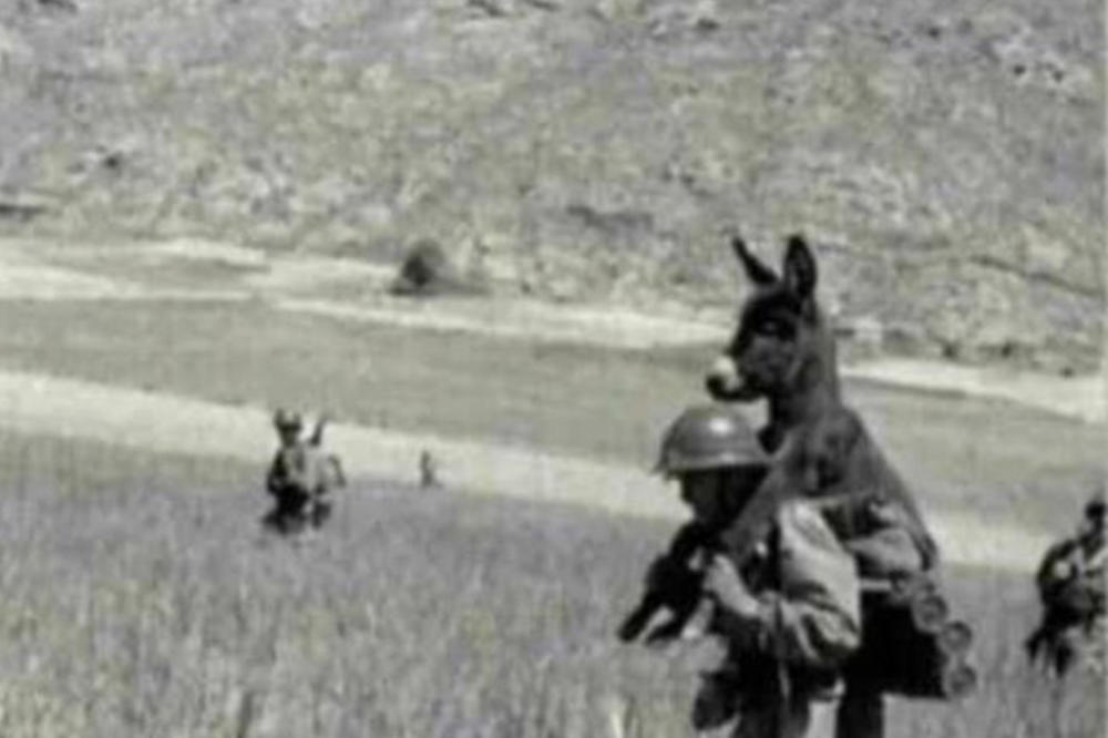 ISPRAVKA Ne, na slici vojnik ne nosi magarca jer je okolo minsko polje, evo šta je istina